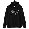 Grateful Hoodie - Amid Light's Knack
